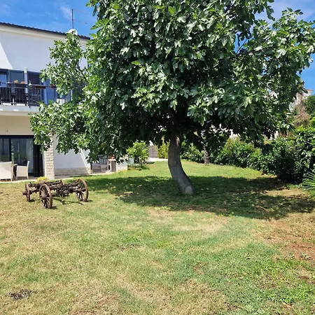 Nyaraló House Viola Póla