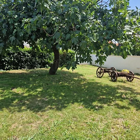 Nyaraló House Viola *