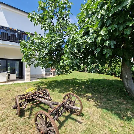 House Viola Ferienhaus